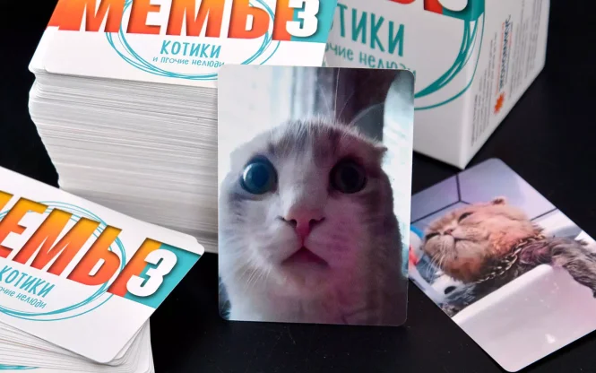 МЕМЫ 3: Котики фото 6